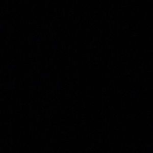 Meet your Posher, Mia